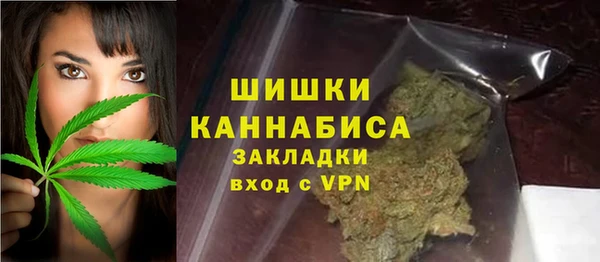 дурь Алзамай
