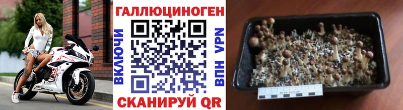 Псилоцибиновые грибы мухоморы продажа наркотиков Киселёвск